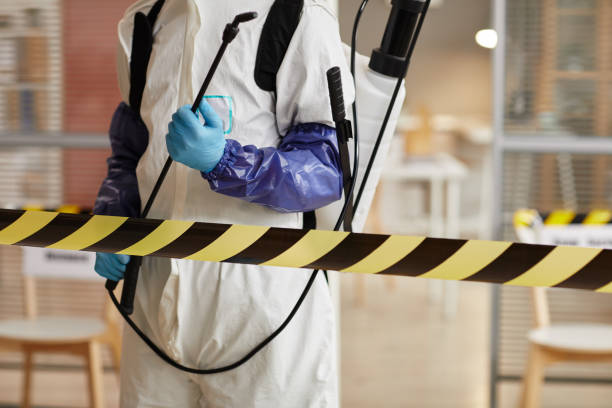 Professional Sewage Cleanup technician working in Dixon, NE